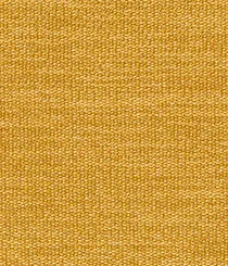 2362-03 Dapple - Amulet