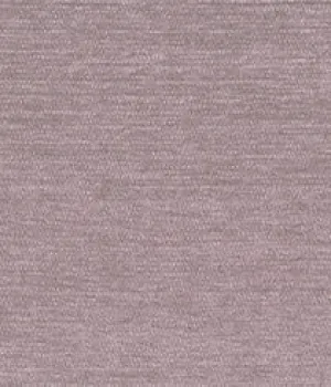 5829-04 Ray - Dreamer