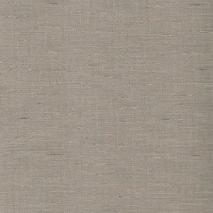 Adache-Pewter