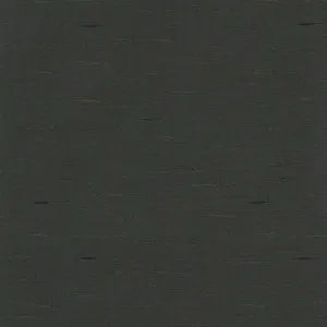 Adache-Raven