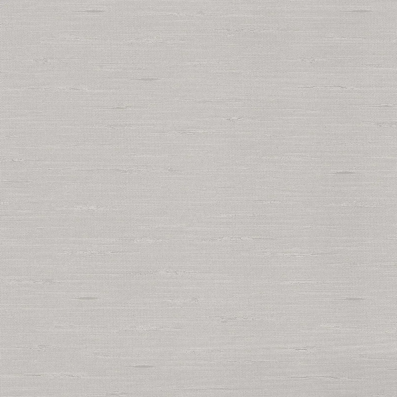 Adache-Silver