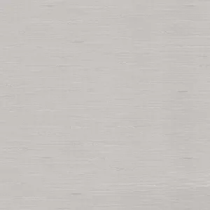 Adache-Silver