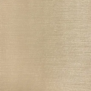 Ambience-Cornsilk