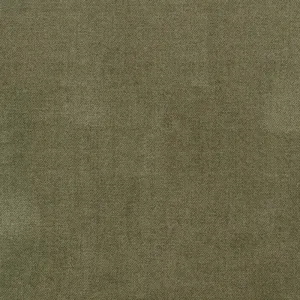Ava-Lichen