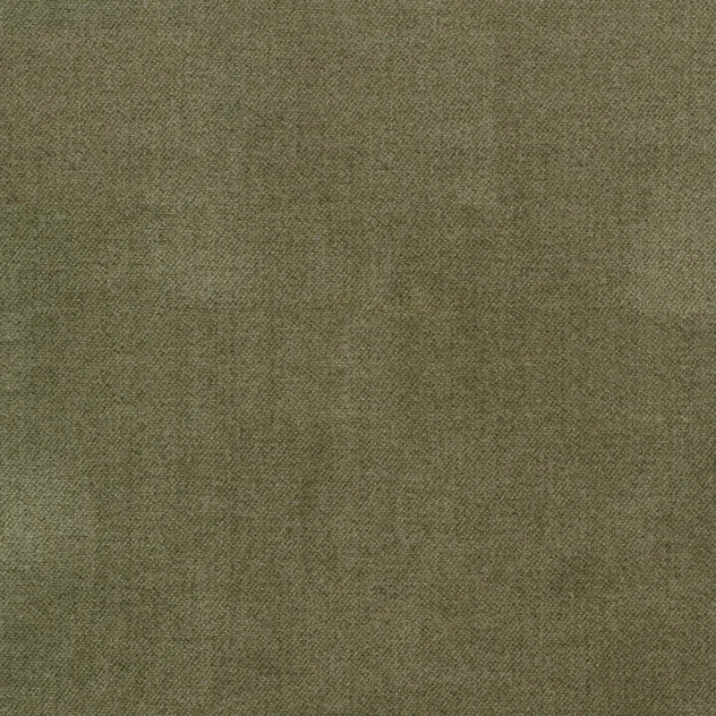 Ava-Lichen