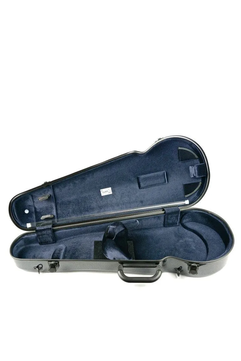 BAM Hightech Contoured Viola Case