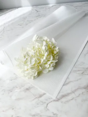 Colorful WATERPROOF TRANSPARENT Wrapping Paper WITH WHITE LINE