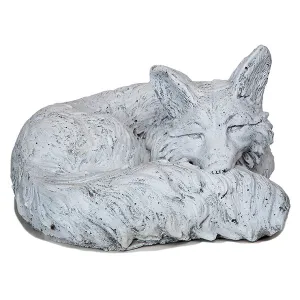 Curled Fox