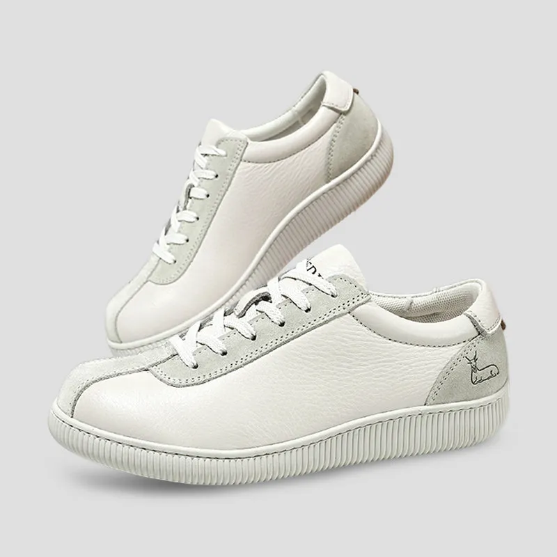 Dbeck® FeatherStep: Ultra-Lightweight Soft Walking Shoes for Everyday Comfort