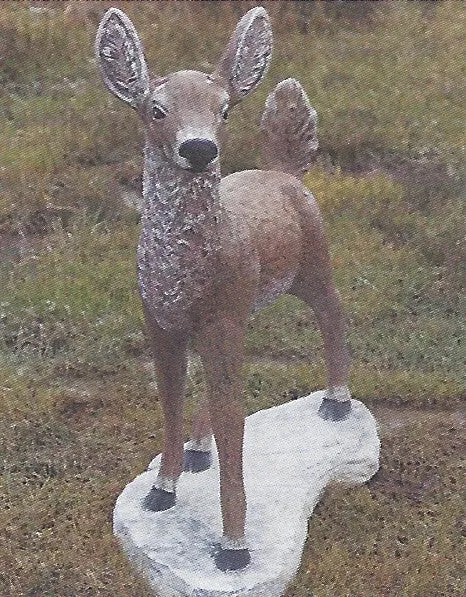 Doe