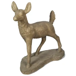 Doe