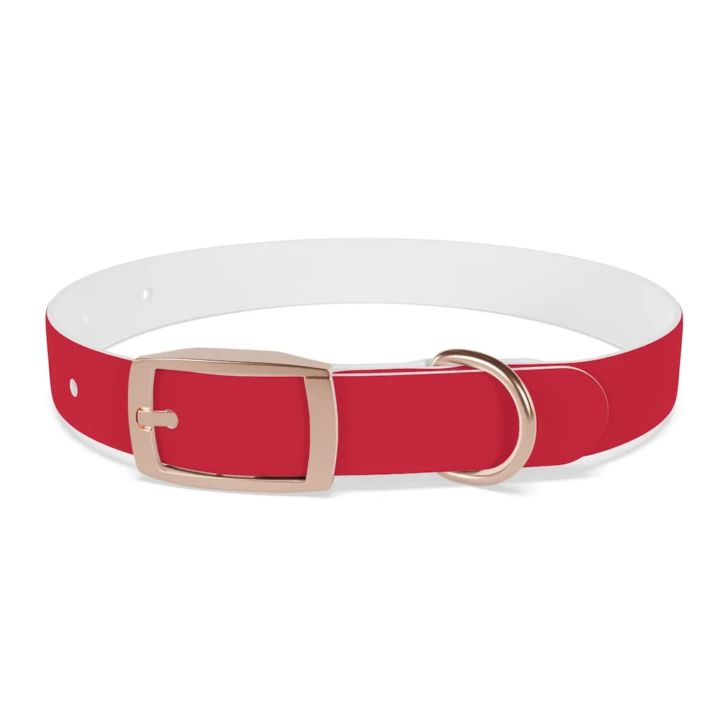 Dog Collar
