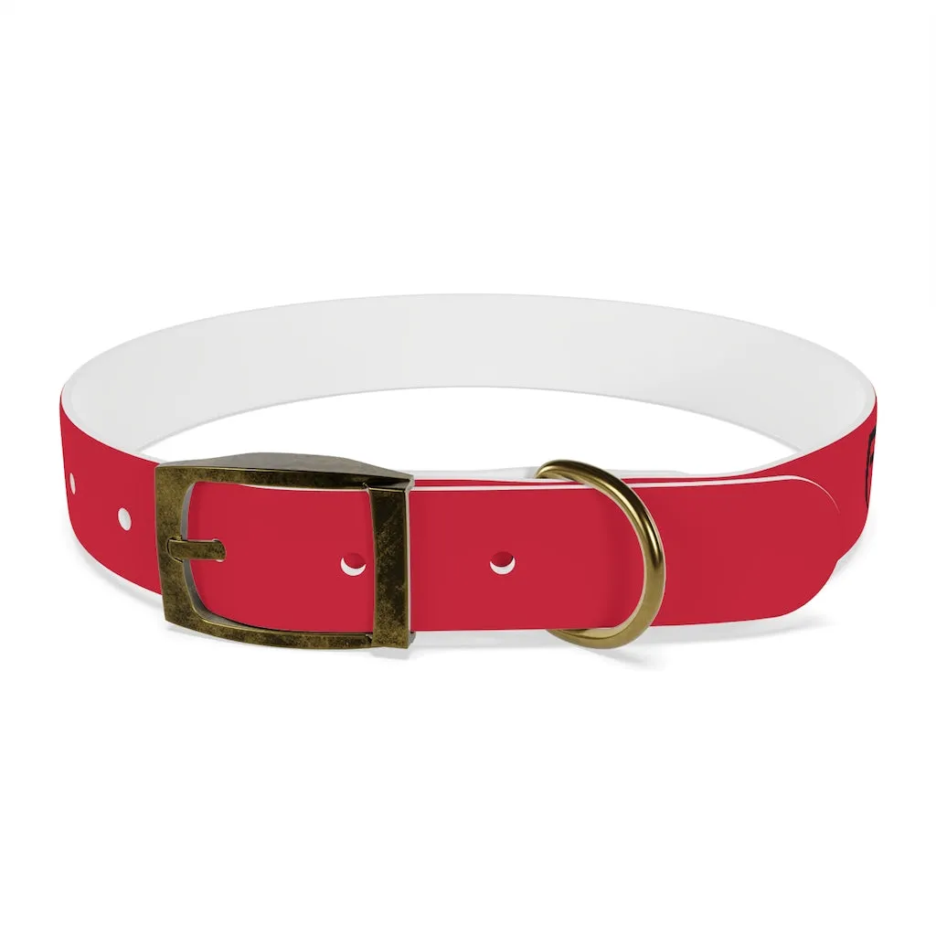 Dog Collar