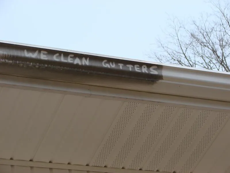 EZ Kleen Gutter Cleaner (1 gallon) - Gutter Whitening