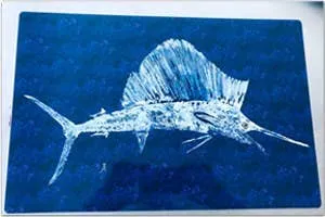 Fish Aye Trading - Purple Sailfish Placemat set 4