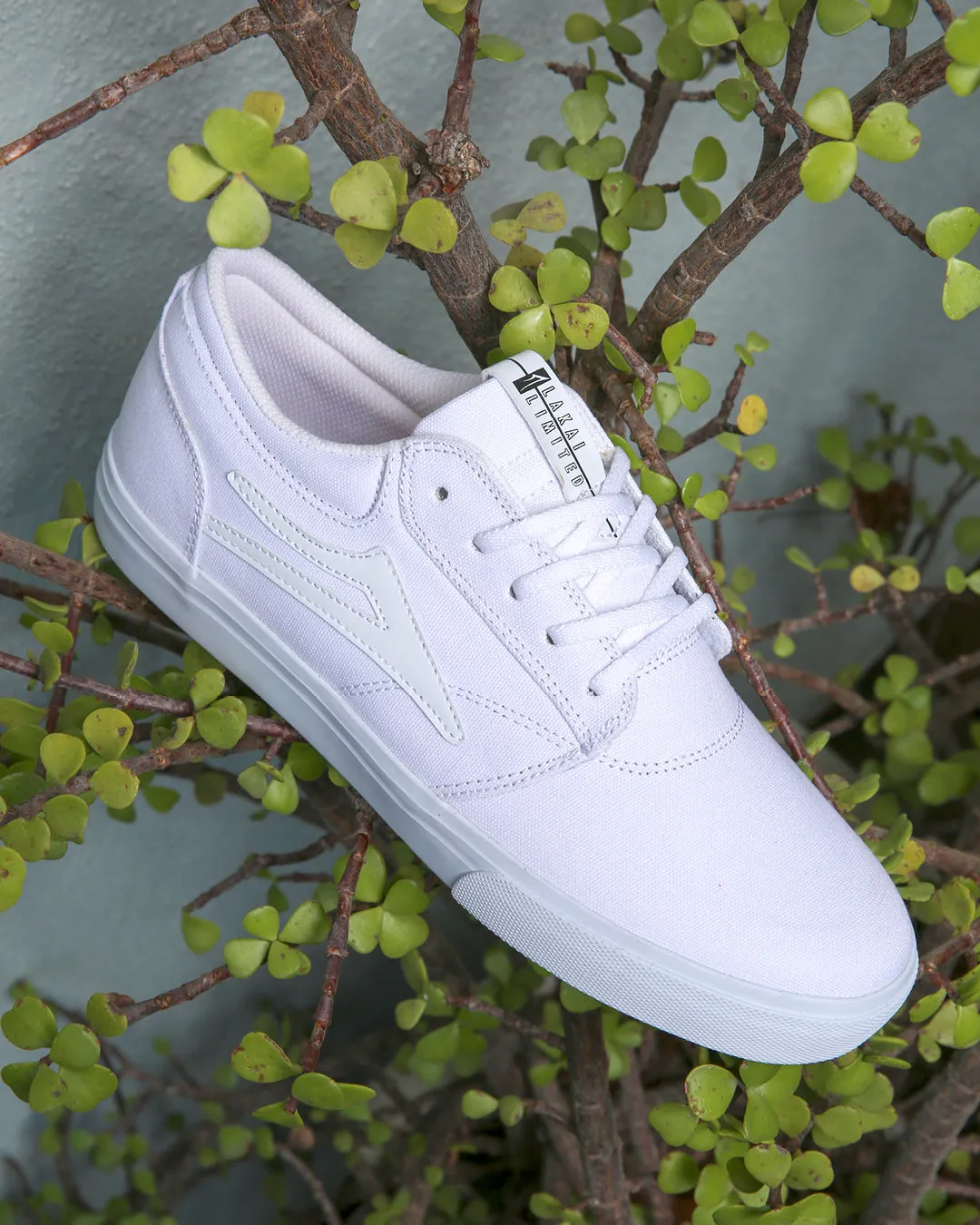 Griffin - White Canvas
