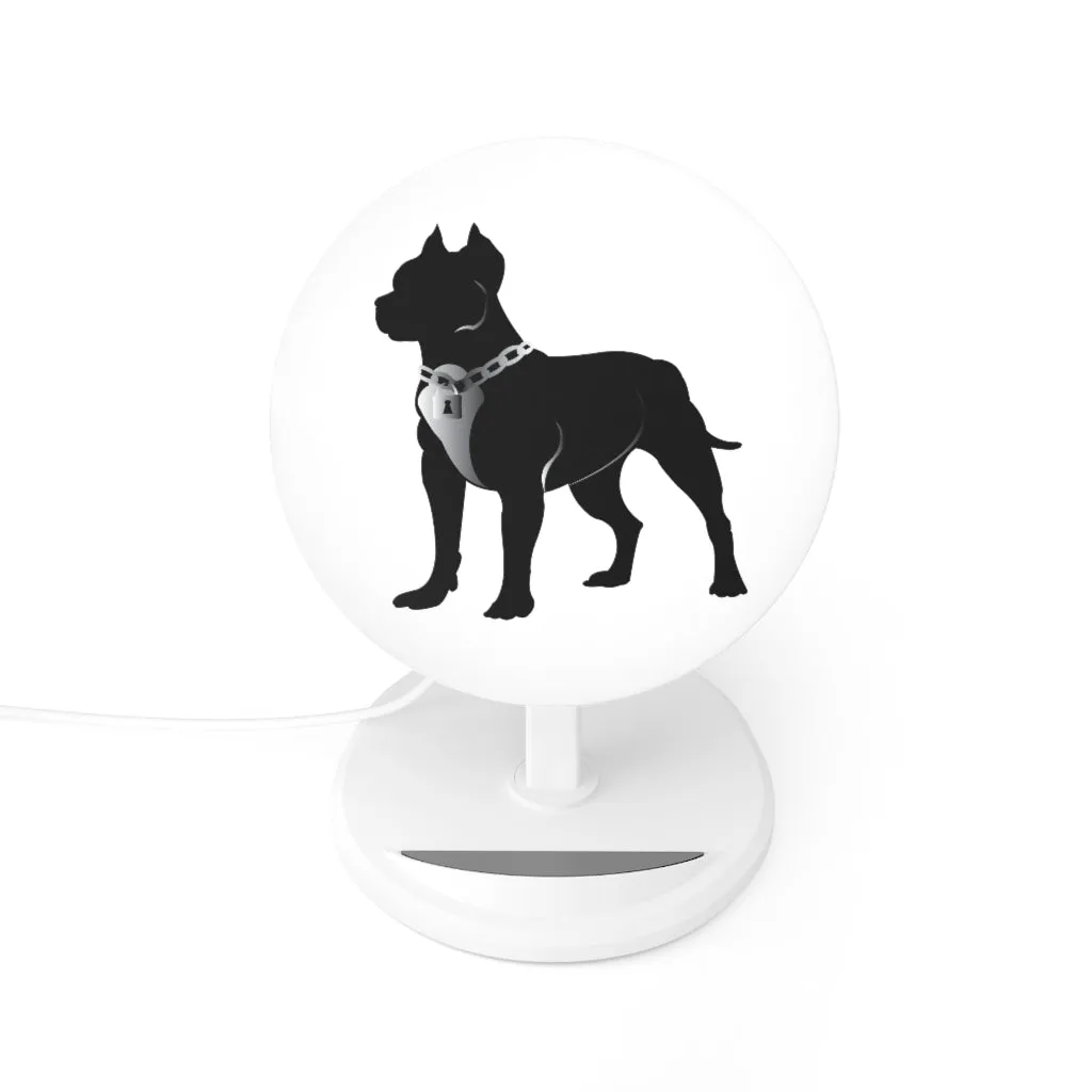 Induction Charger