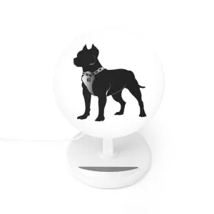 Induction Charger