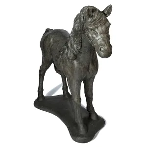 Large Horse