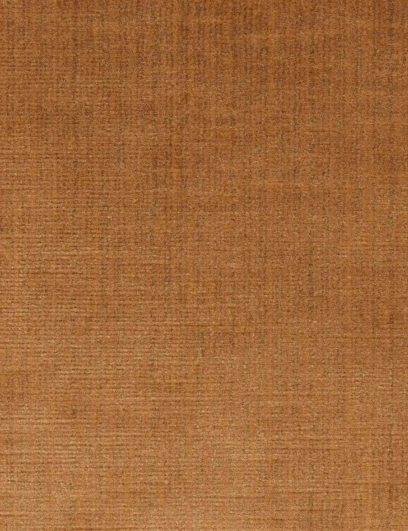 Legacy-sesame