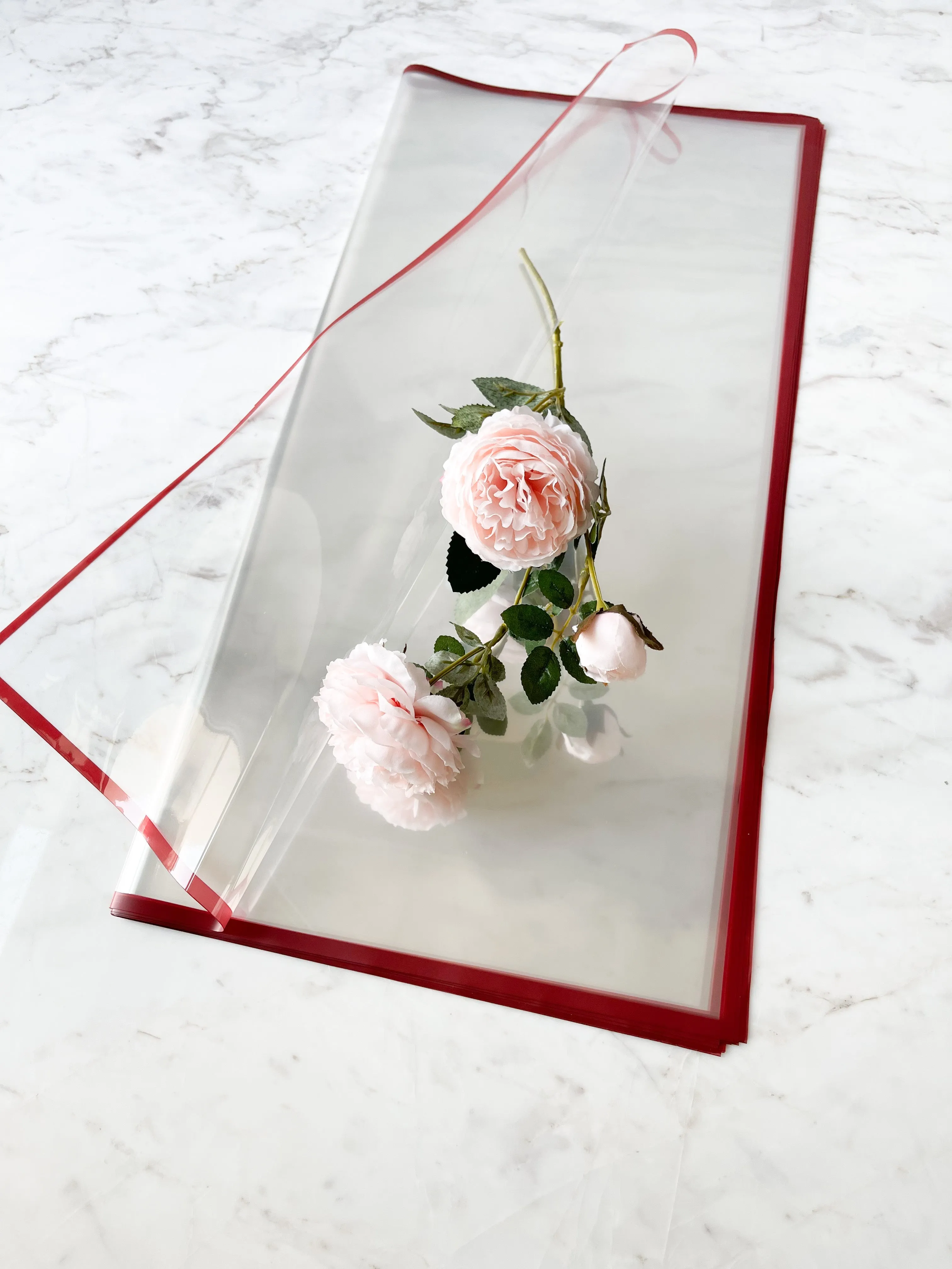 Macaron Color Frame Clear Wrapping Paper