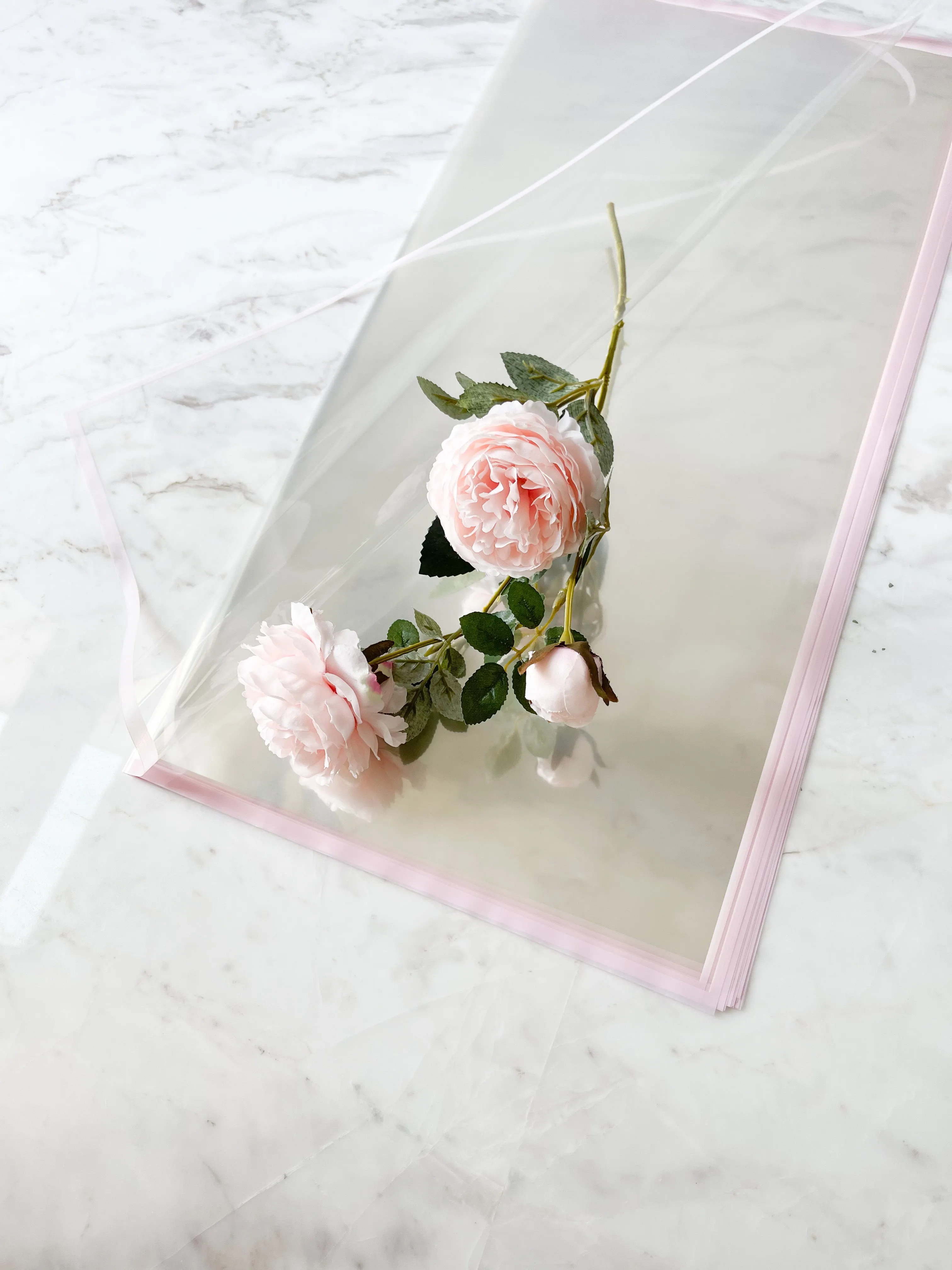 Macaron Color Frame Clear Wrapping Paper