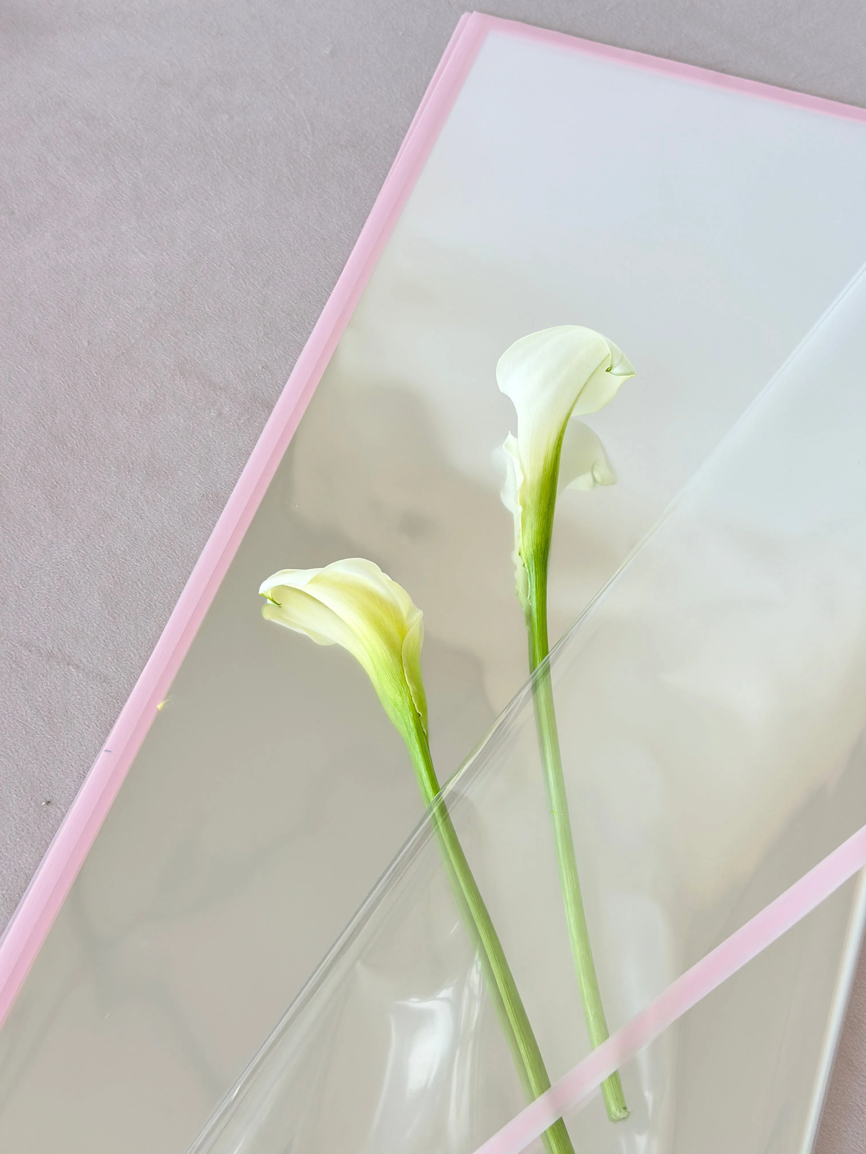 Macaron Color Frame Clear Wrapping Paper