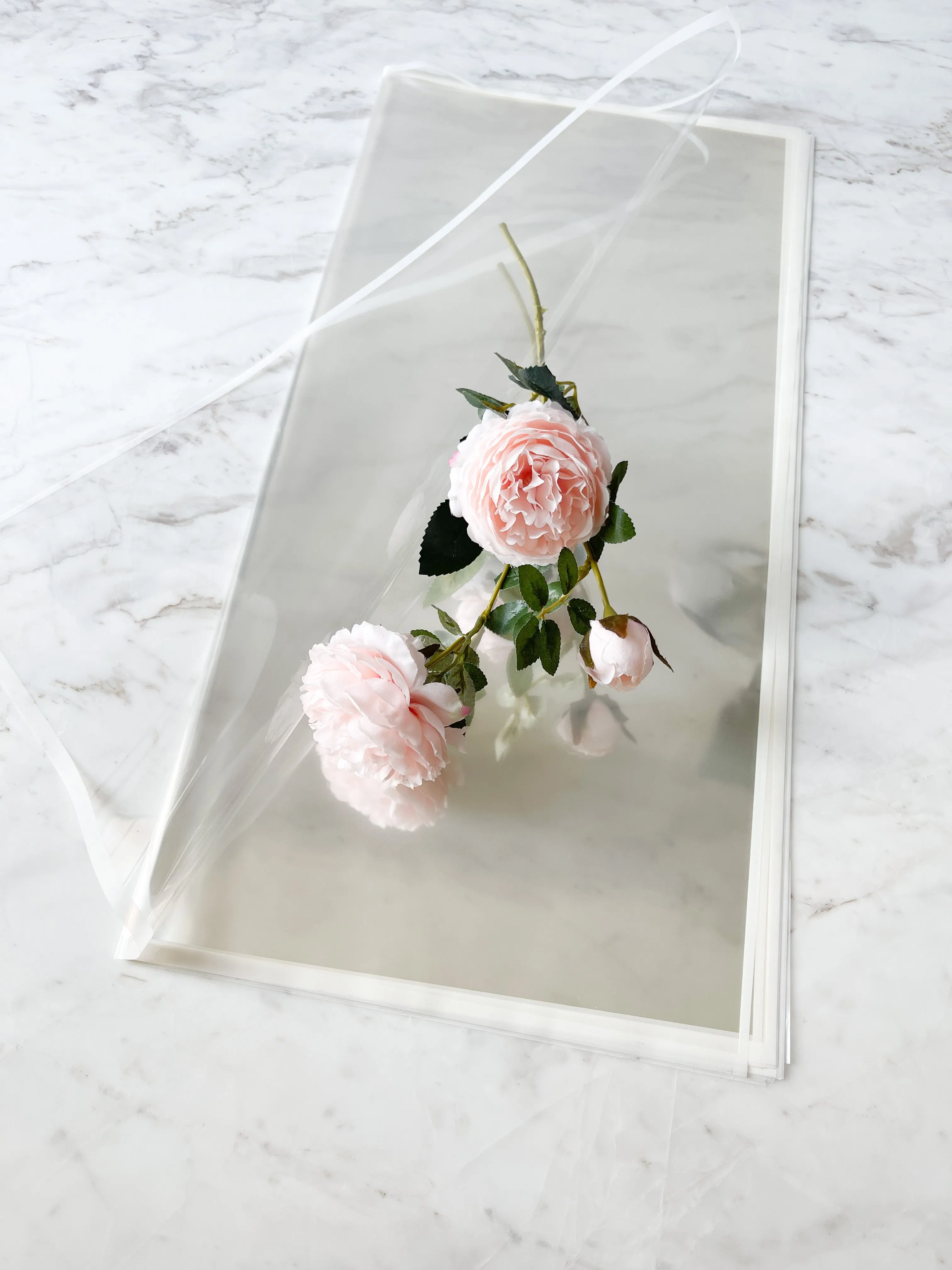 Macaron Color Frame Clear Wrapping Paper