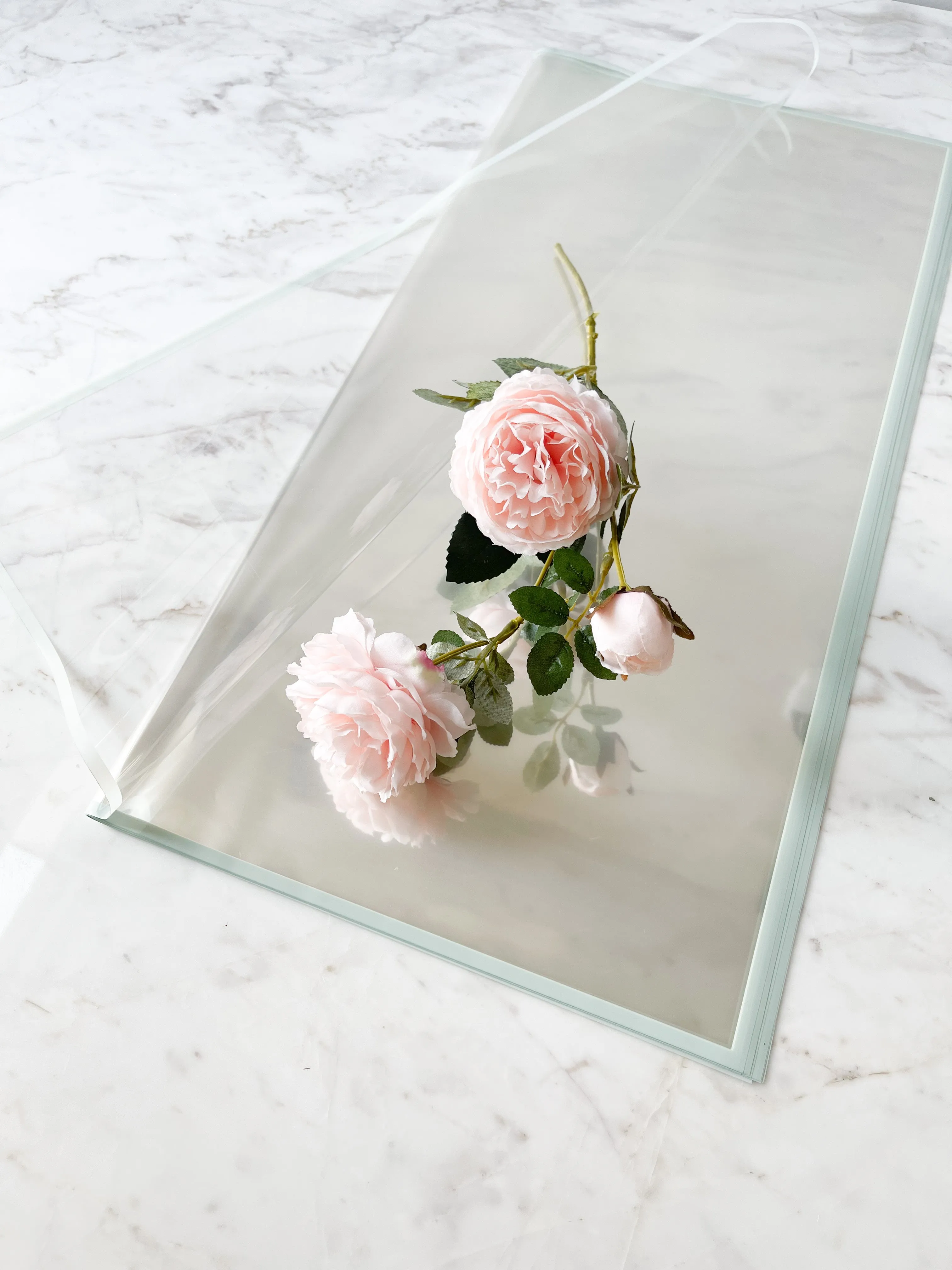 Macaron Color Frame Clear Wrapping Paper
