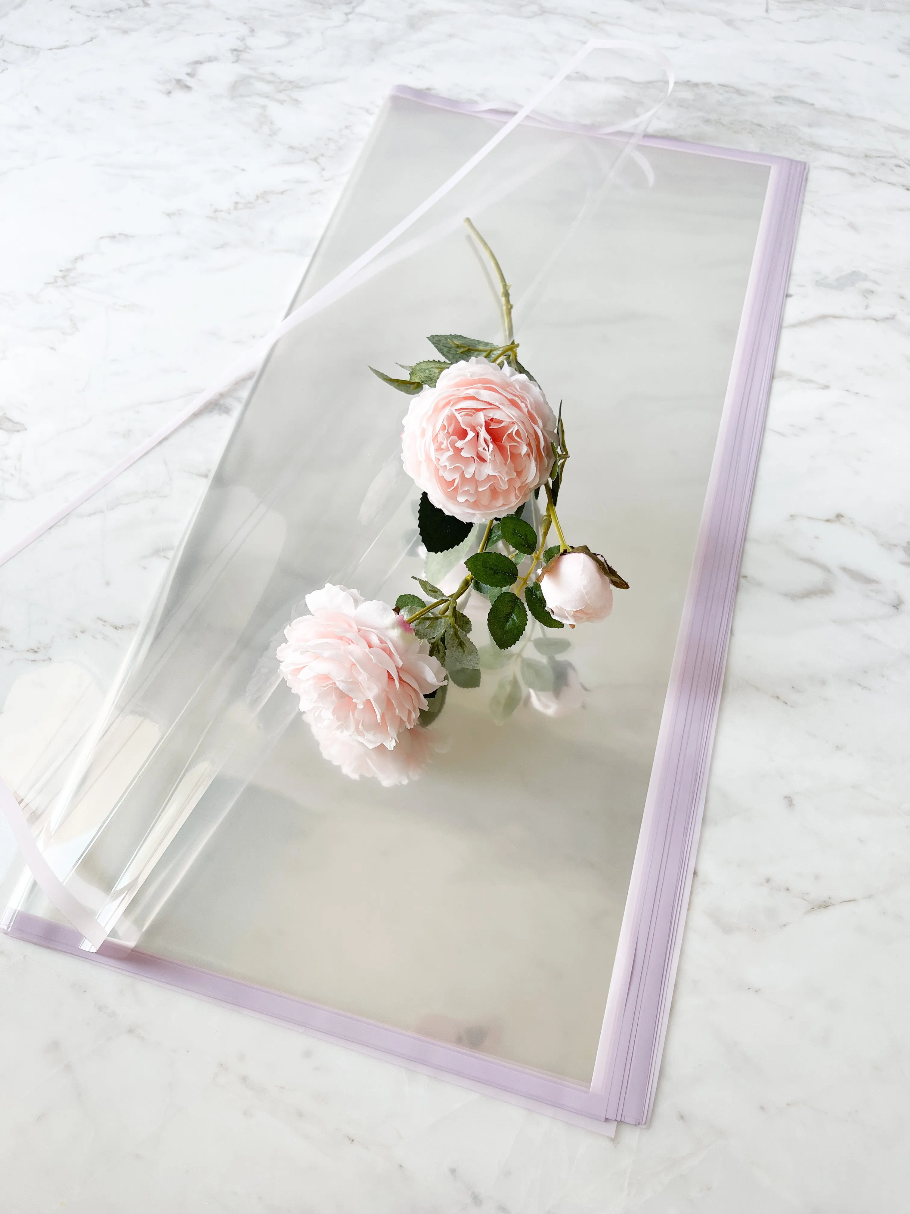 Macaron Color Frame Clear Wrapping Paper