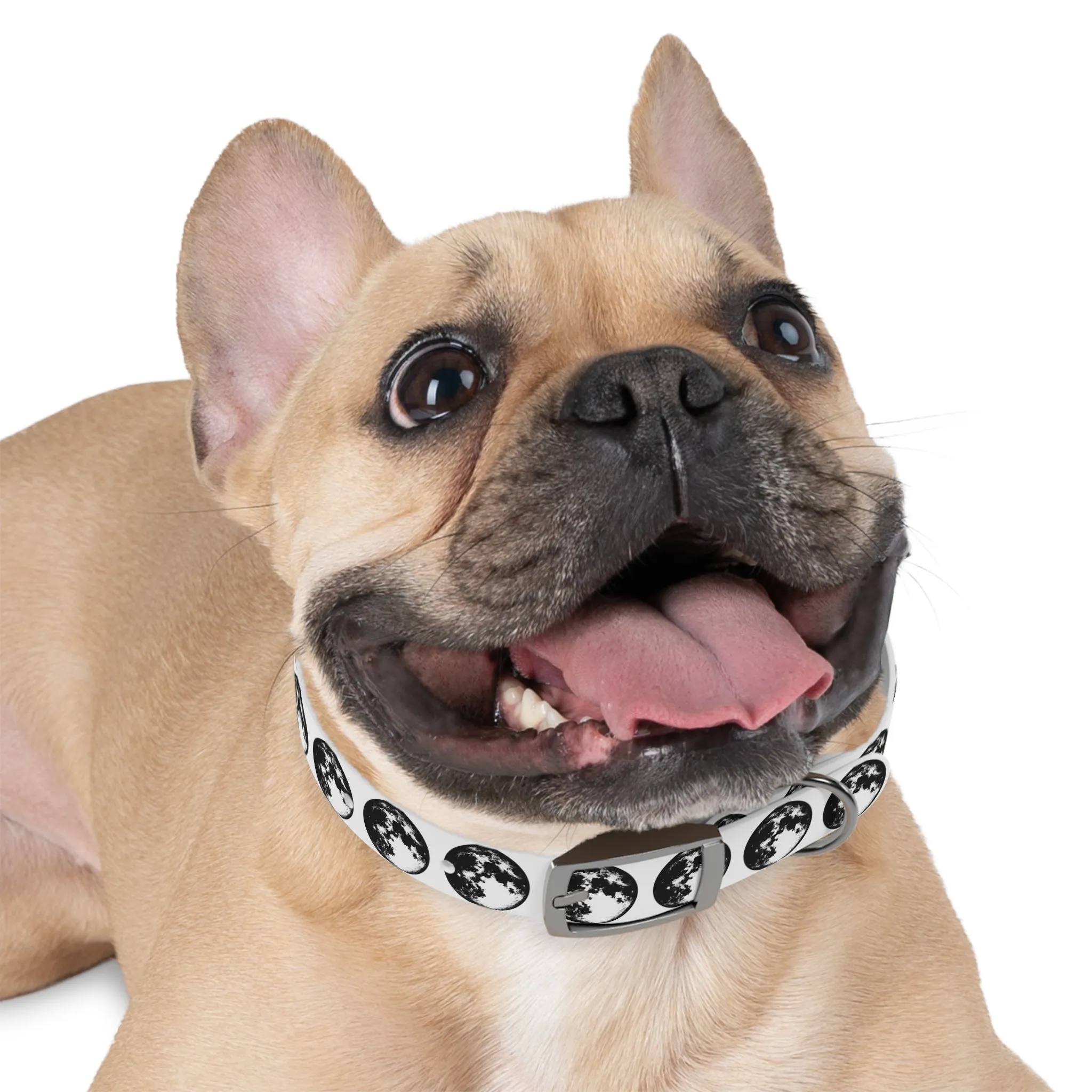 Moon Dog Collar