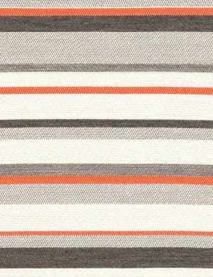 Peruvian Stripe-papaya