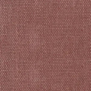 Rotterdam-Coral