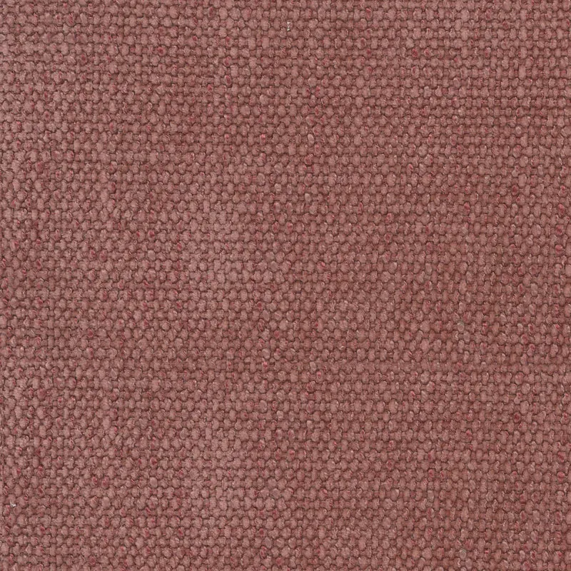 Rotterdam-Coral