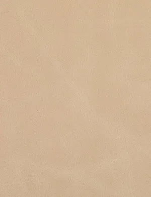 Saddle-dune
