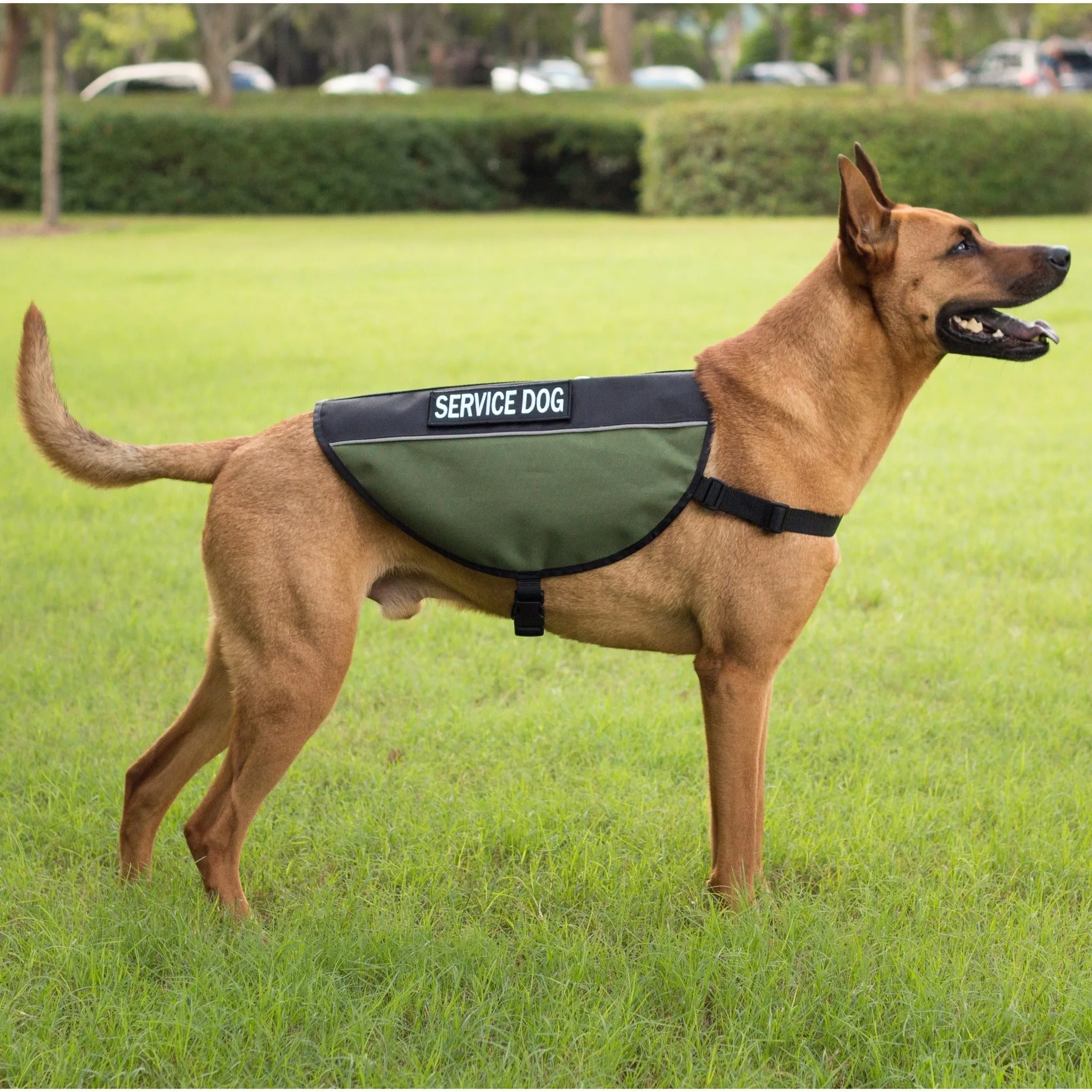 Service Dog Vest - Water Resistant Cordura with Tactical Military Style
