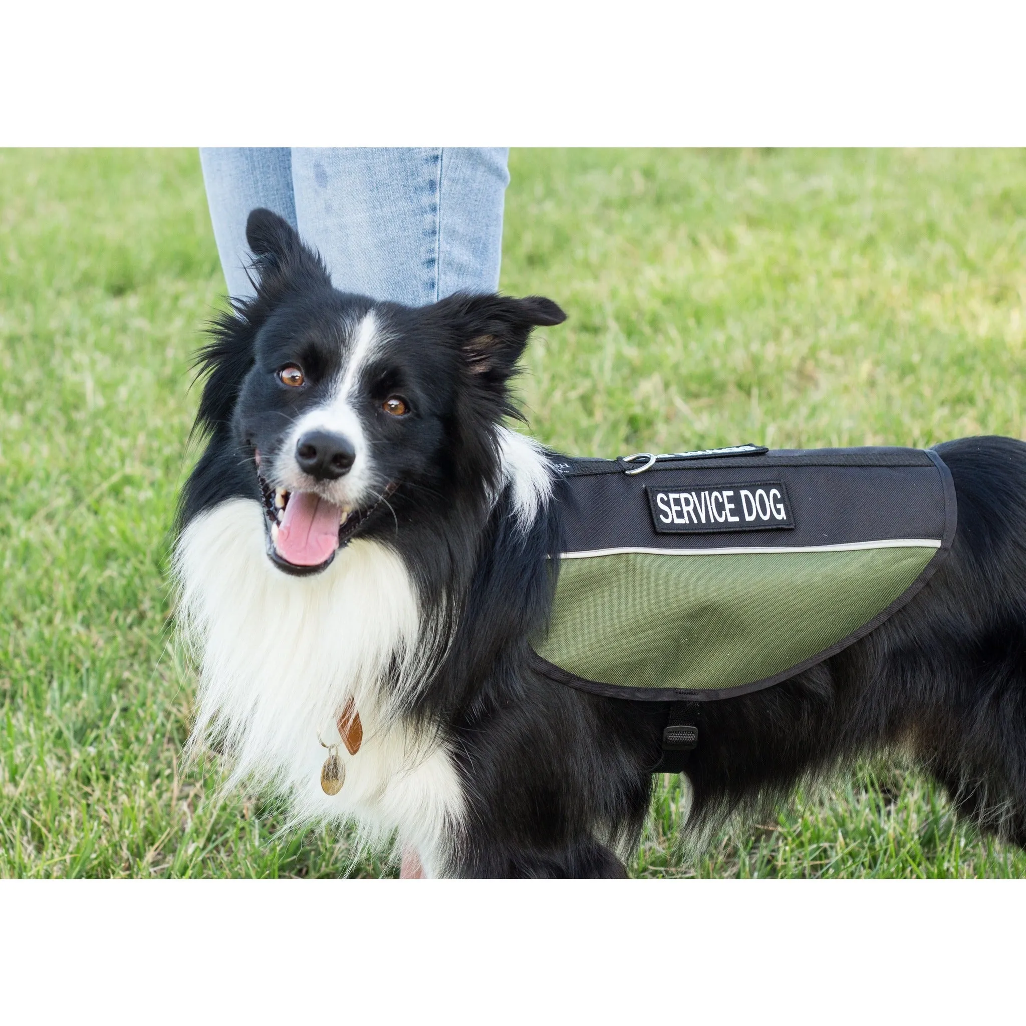 Service Dog Vest - Water Resistant Cordura with Tactical Military Style