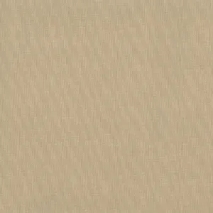 Shanghai-Cashew