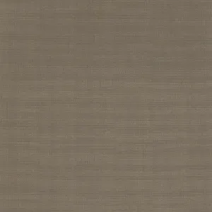 Shanghai-Clay