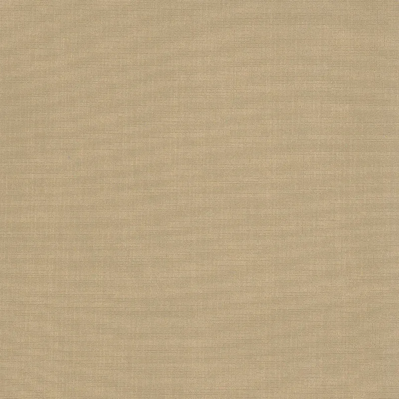 Shanghai-Dune