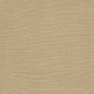 Shanghai-Dune