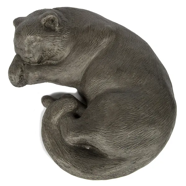 Sleeping Kitty