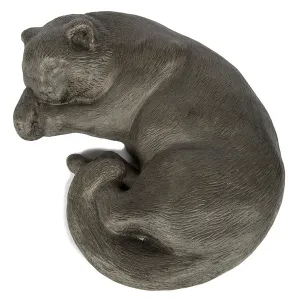 Sleeping Kitty