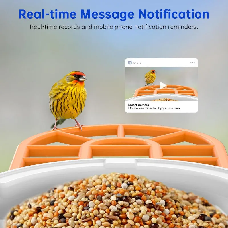 Smart Feeder Surveillance Wireless Camera