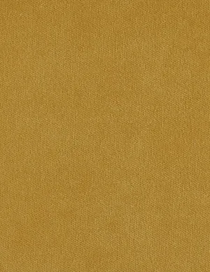 Solo-butternut