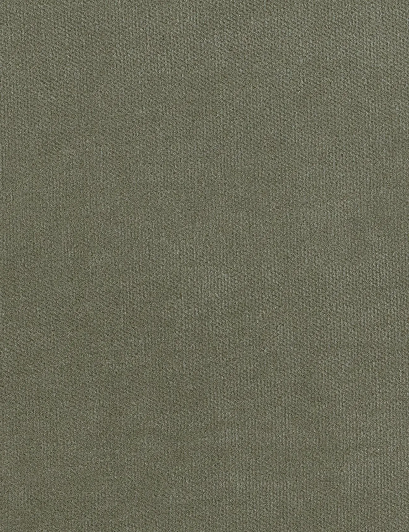Solo-eucalyptus