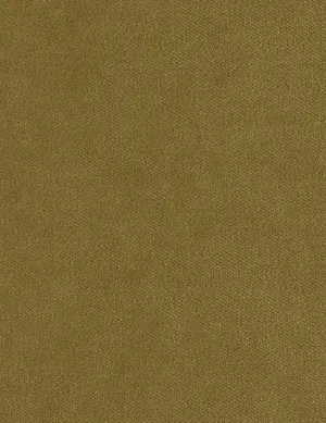 Solo-moss
