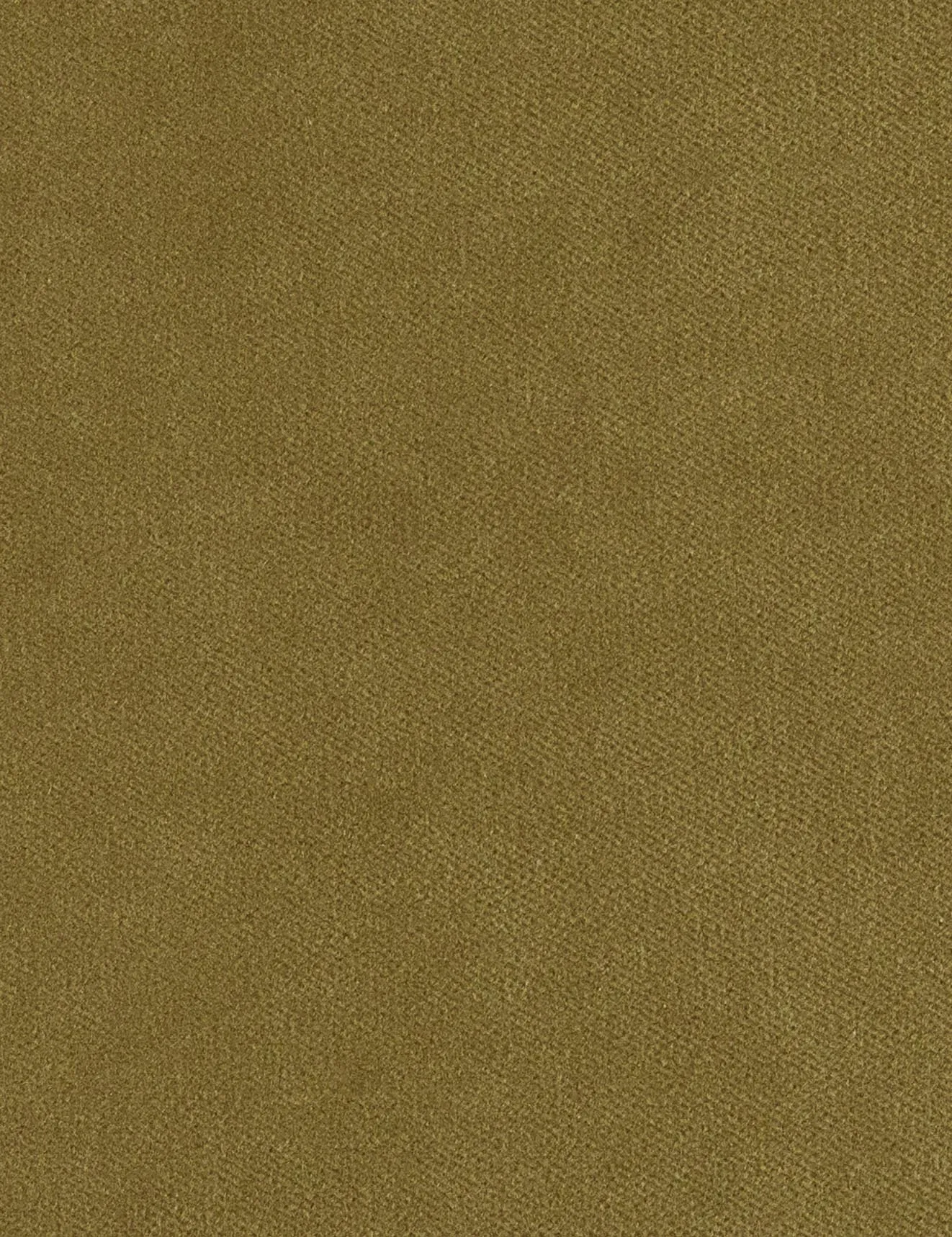 Solo-moss