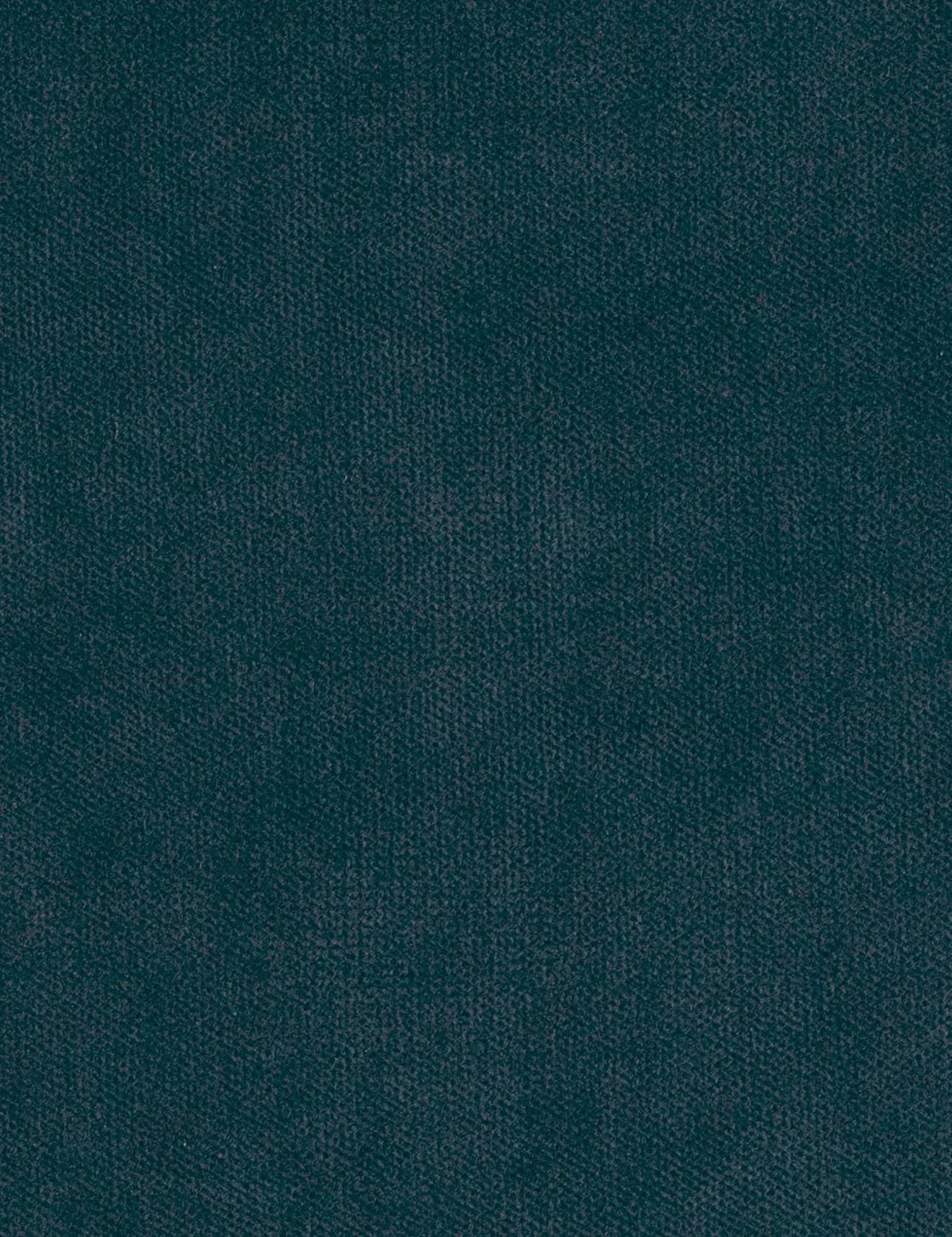 Solo-peacock