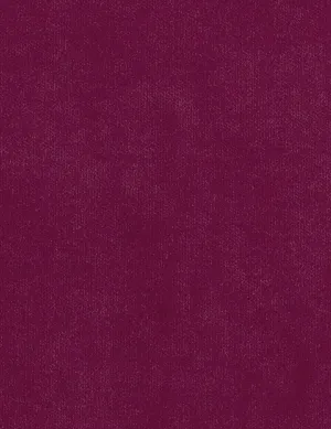 Solo-raspberry sorbet
